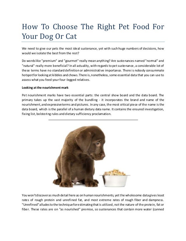 How to choose the right food for pets How to choose the right food for pets